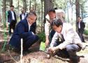 吉林省委书记巴音朝鲁关心 ”金沙js933051号”桑黄基地长势