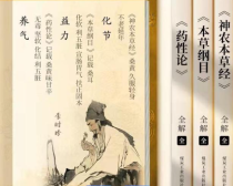 千济方桑黄：真的能去结节的神奇药材？