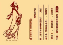 桑黄水的神奇力量：喝水也能养生，了解桑黄的多重功效