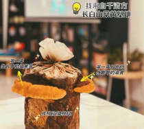 千济方桑黄：守护肝脏健康的自然瑰宝